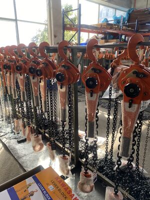 acheter 1.5m Levier manuel Chaîne de levage 1 tonne Capacité lourde Traction manuelle d'outil de levage pour les engins industriels online manufacture